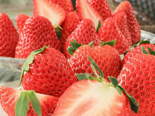 2024年吃草莓，还建议买大棚种植的吗？